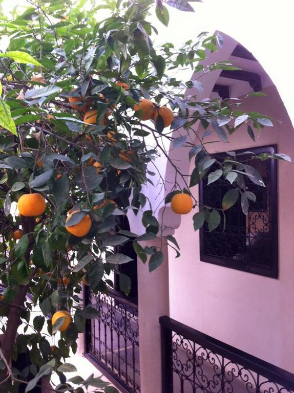 Riad Le Bel Oranger Marakeş Dış mekan fotoğraf